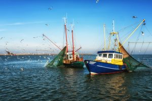 La importancia de la industria pesquera en España
